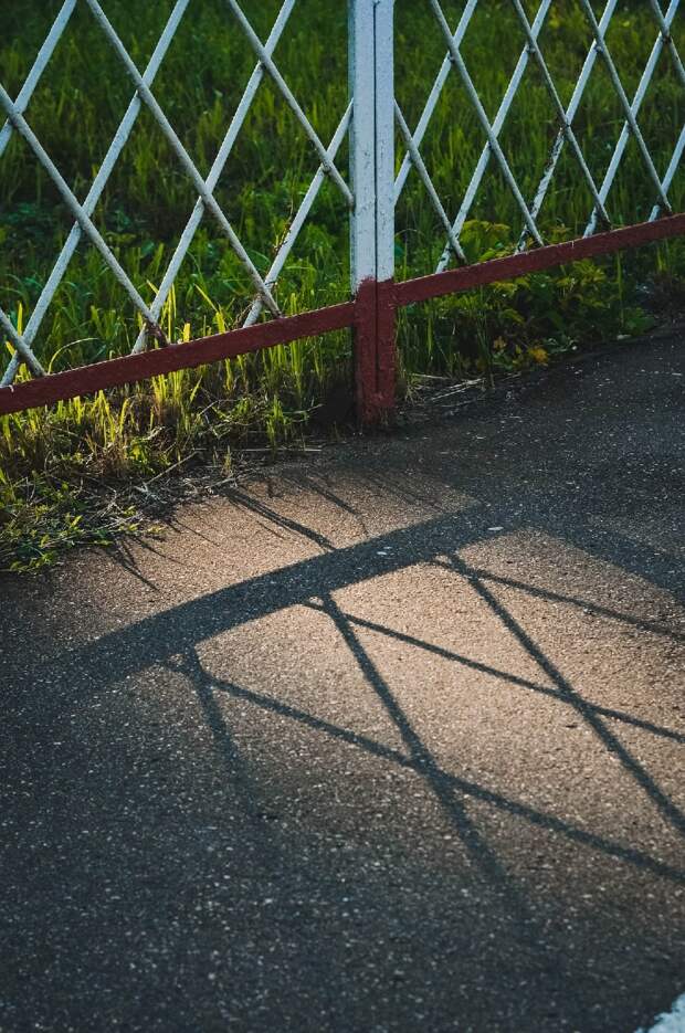 Солнечная прогулка: как выглядит летняя Тверь в объективе фотоаппарата