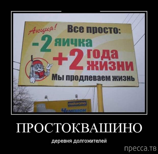 Демотиваторы (30 фото) Демотиваторы (30 фото)
