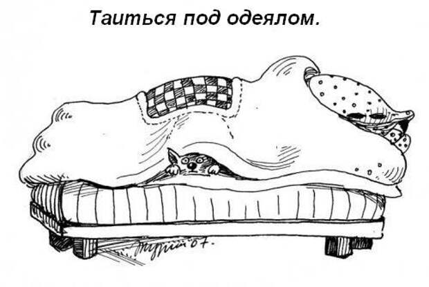 Обязанности кота по дому!