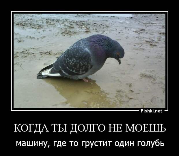 Демотиваторы демотиваторы, прикол, смех, юмор
