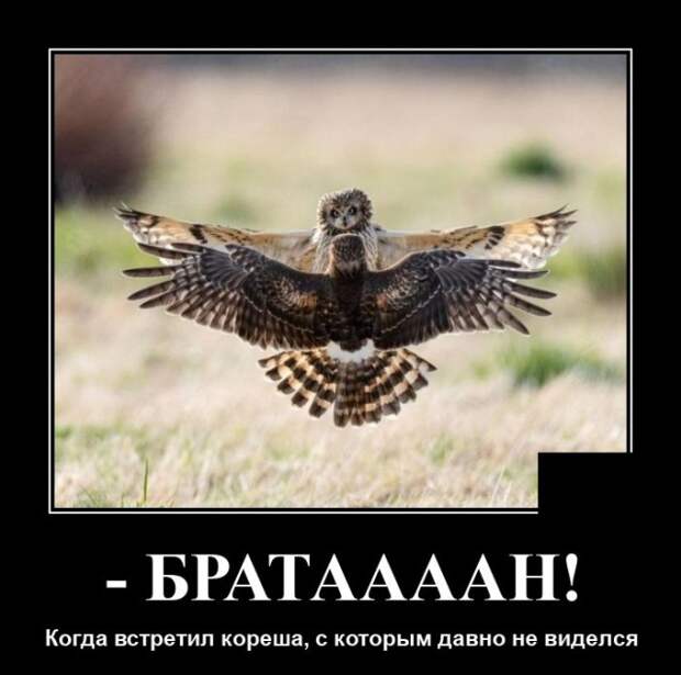 Демотиваторы 13 августа 2021 года