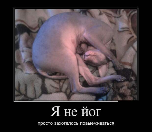 Демотиваторы Демотиваторы бревно, демотиваторы, юмор