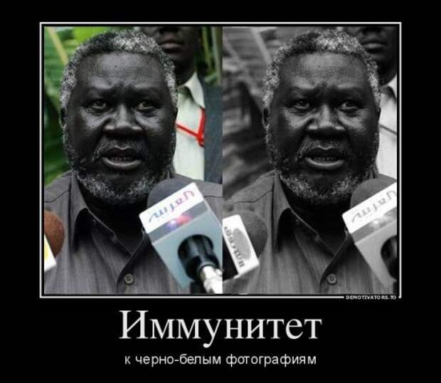 Новые весёленькие демотиваторы. Лучшие приколы Новые весёленькие демотиваторы. Лучшие приколы