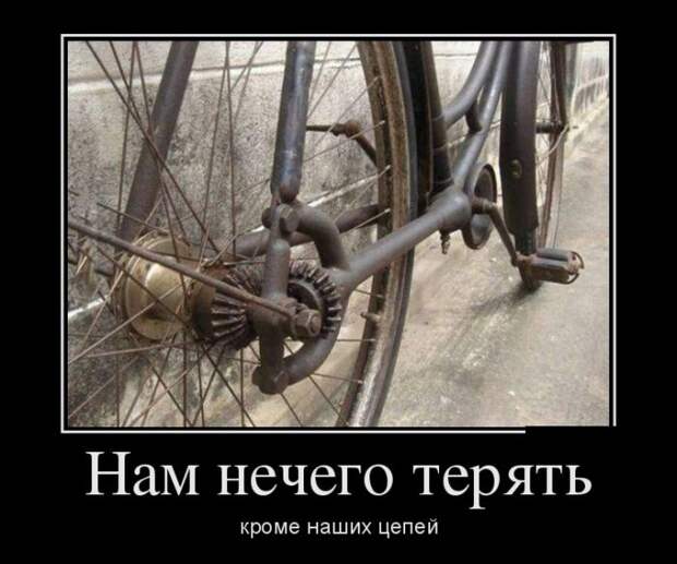 Демотиваторы (30 фото)