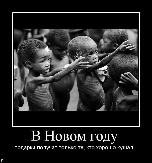 Подборка демотиваторов (84 фото)