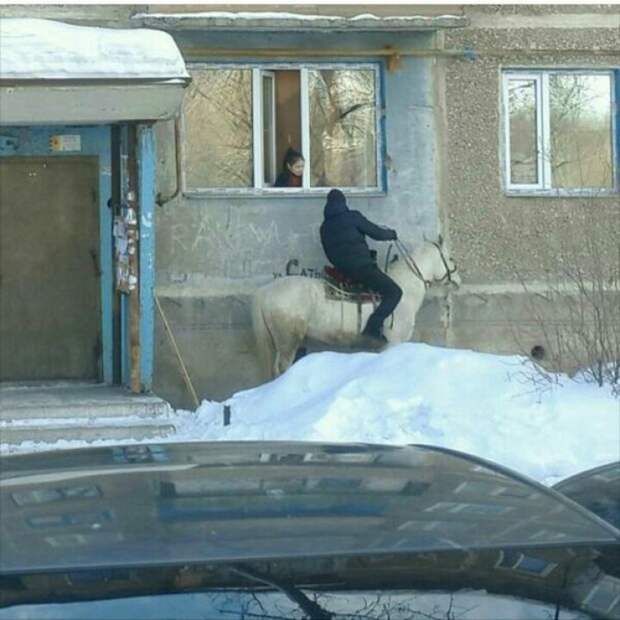 забавные фото про то что мечты сбываются