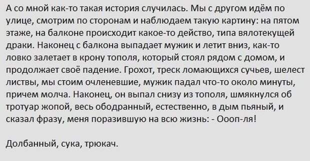 Солянка из прикольных картинок Солянка из прикольных картинок