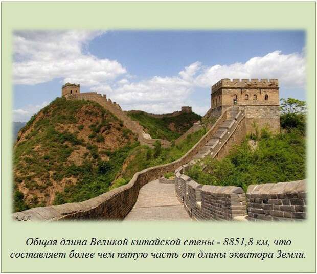 Интересные факты (14 картинок)