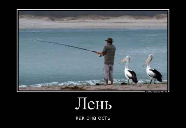 Демотиваторы демотиваторы, прикол, смех, юмор