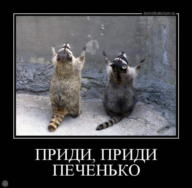 Мотиваторы и демотиваторы в сборке 1