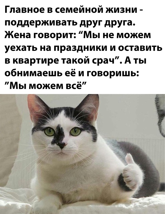 Смешные картинки 4 января 2021 года