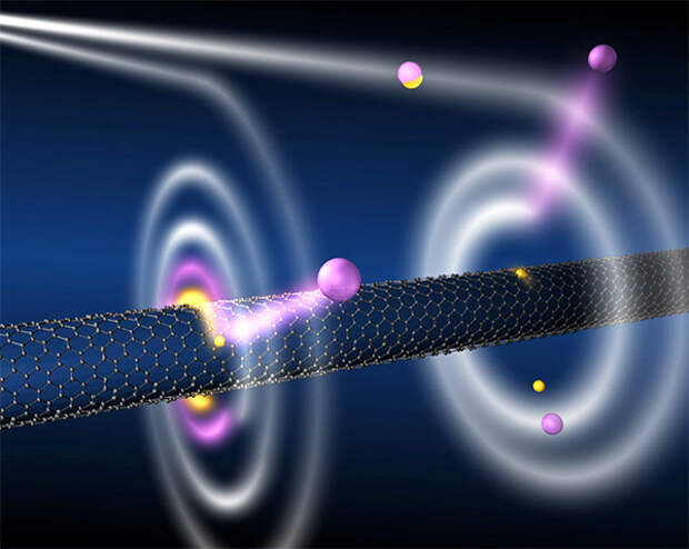 detector_1.jpg