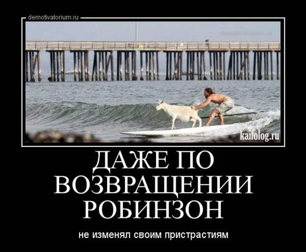 Демотиваторы - 260 (45 демок)