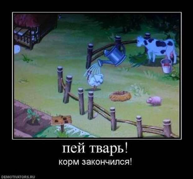 Фотографии с прикольными подписями, новые демотиваторы.