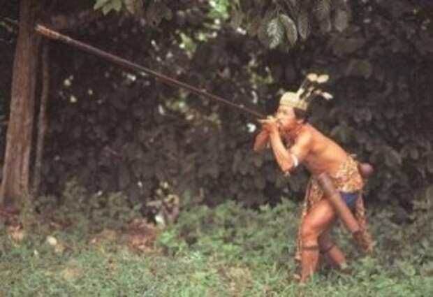 Абориген о-ва Суматра с духовой трубкой