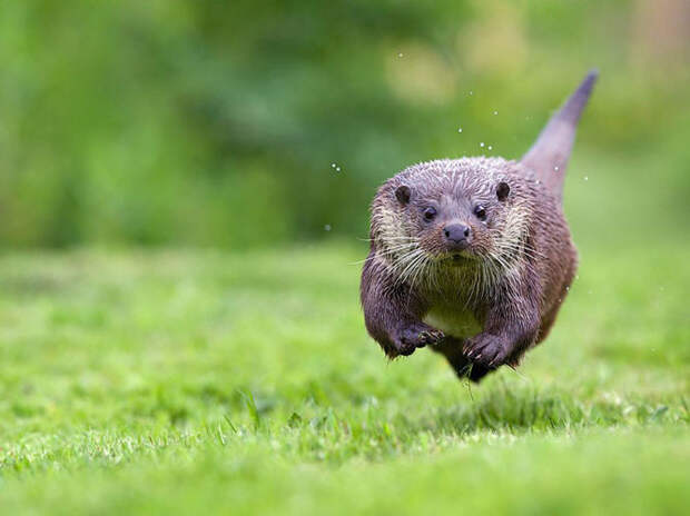 Лучшие фотографии National Geographic за июль 2014 Лучшие фотографии National Geographic за июль 2014