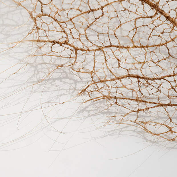 Листва из человеческих волос (7 фото)