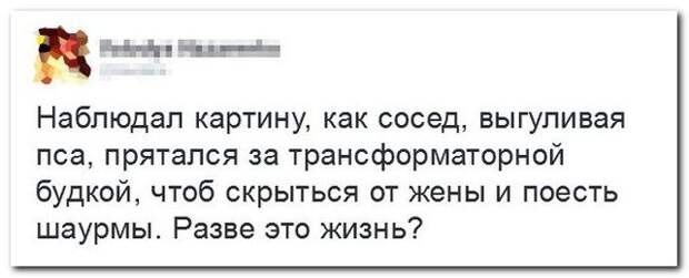 Прикольные тексты из социальных сетей