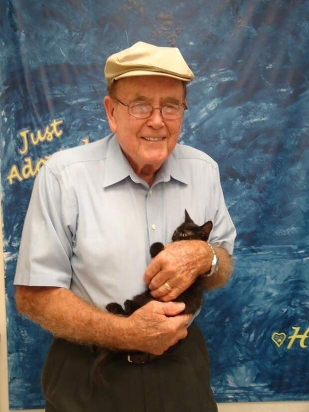 48. В новый дом. 48. В новый дом. животные, коты, позитив, фото