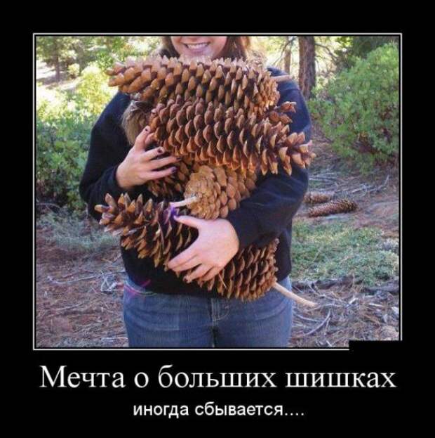 Подборка классных демотиваторов № 143