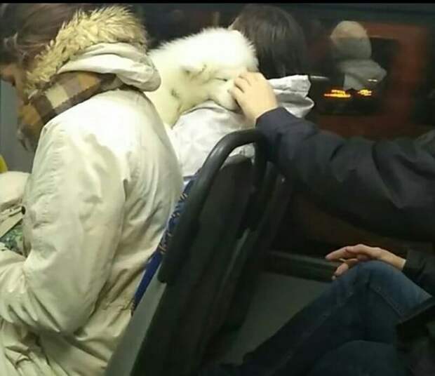 Ну разве можно было удержаться? Ну разве можно было удержаться?