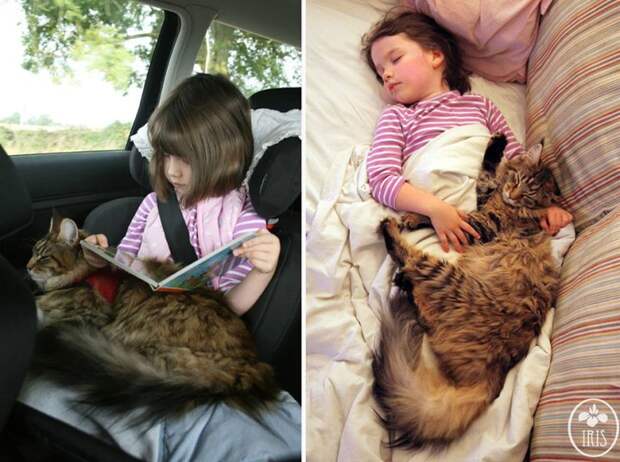 5-летняя девочка аутист и ее терапевтическая кошка Тула айрис грейс  (13)