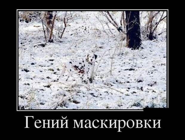 Демотиваторы (08.02.16) Демотиваторы (08.02.16)