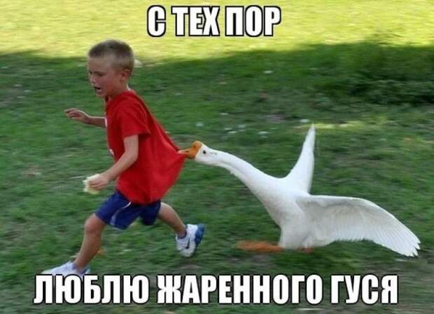 Фото, которые гарантированно поднимут вам настроение демотваторы, картинки, прикол, юмор