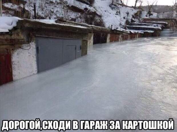 Подборка автоприколов.