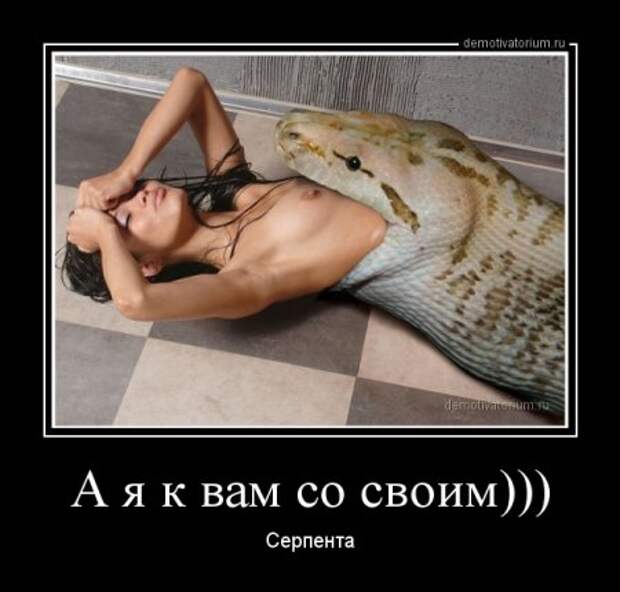 ksjucha11    &    4ervovaЯ. На брудершафт.
