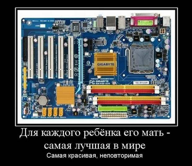 Прикольные демотиваторы на любой вкус (13 фото)