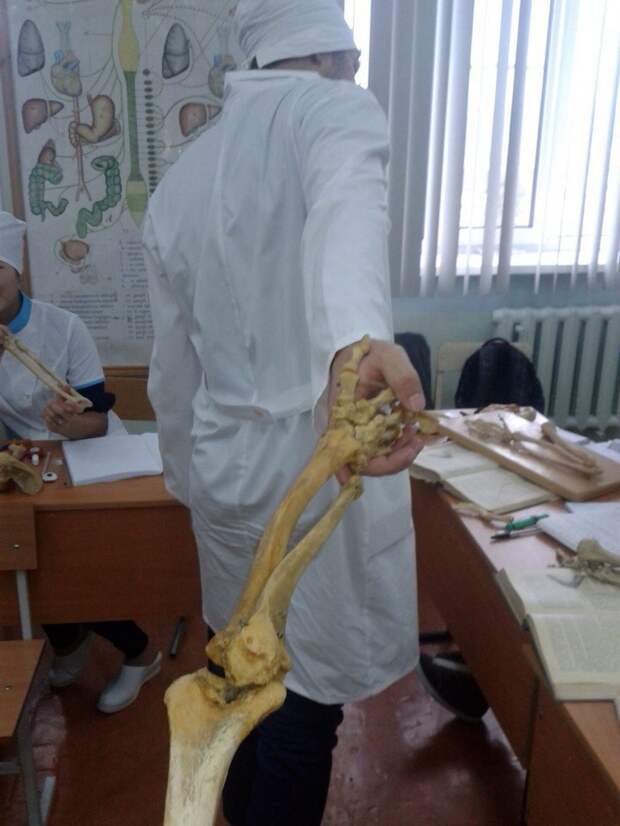 Суровая и беспощадная отечественная медицина Суровая и беспощадная отечественная медицина больница, прикол, юмор