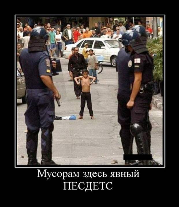 Демотиваторы (133 картинки)