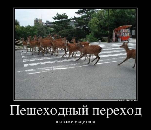 Прикольные демотиваторы на Бугаге (13 фото)