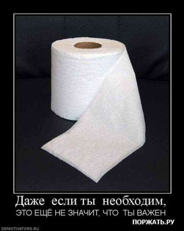 Демотиваторсы