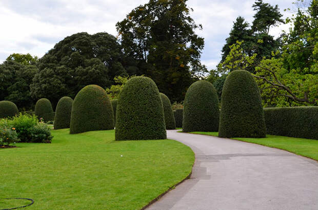 Photos of the Royal Botanic Gardens, Kew Gardens, west London, August 2011