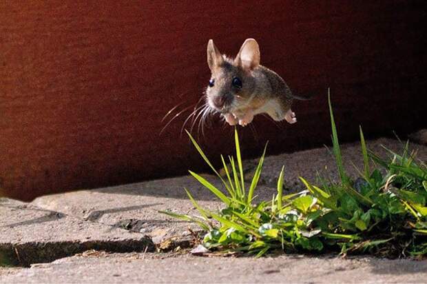 perfectly-timed-photos-4-15__605