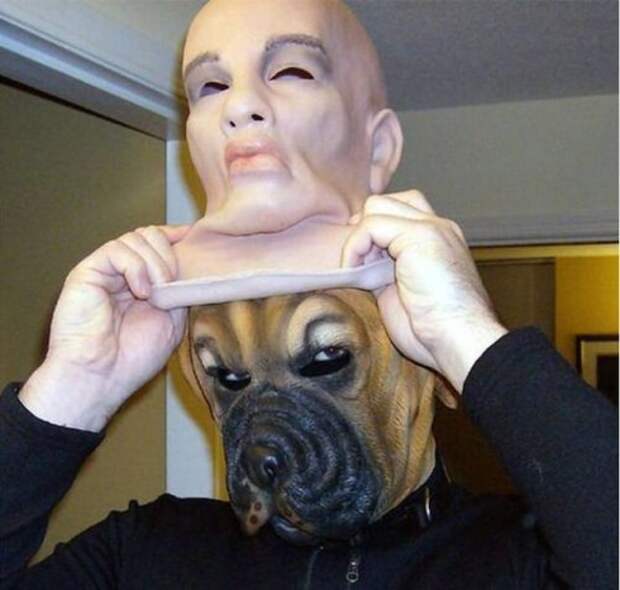 Что здесь происходит?! (31 фото)