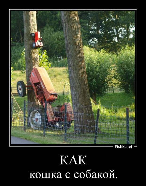 Демотиваторы  демотиваторы, прикол, смех, юмор