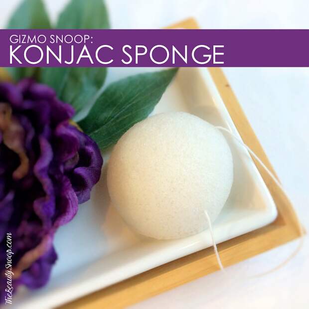 Konjac sponge 101 the best konjac sponges, what is a konjac sponge?, konjac sponge 101