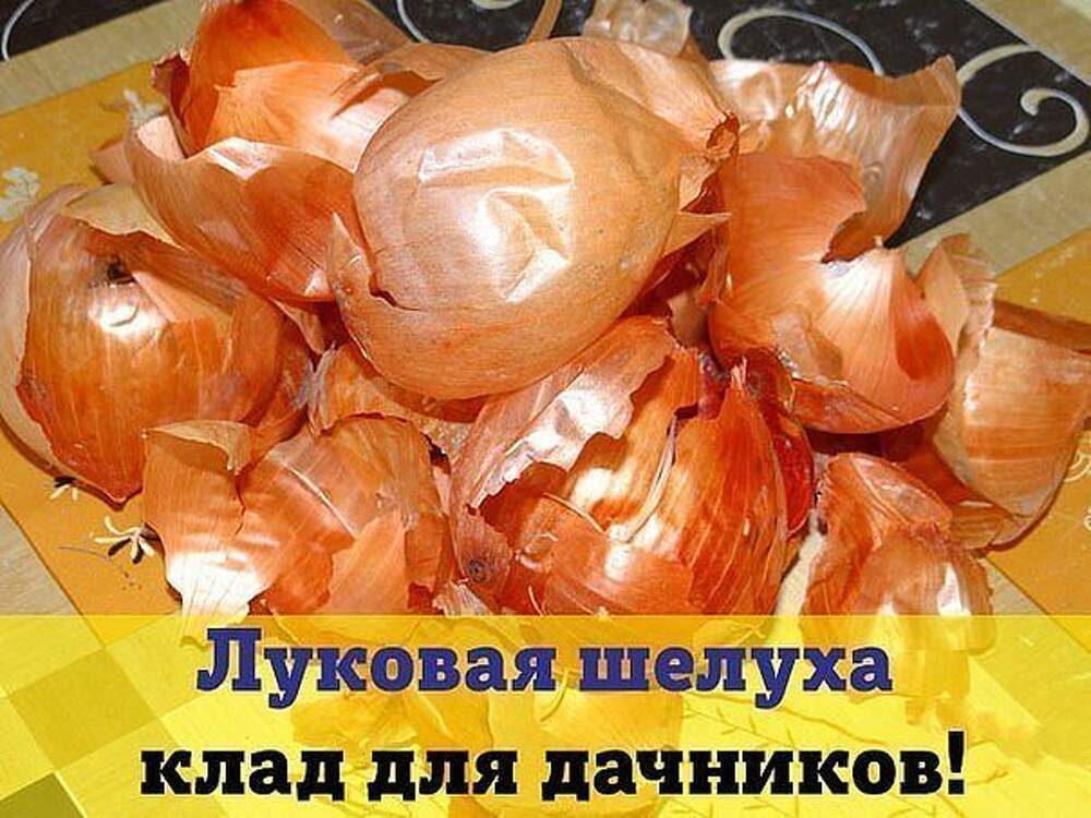 Луковая Шелуха Купить