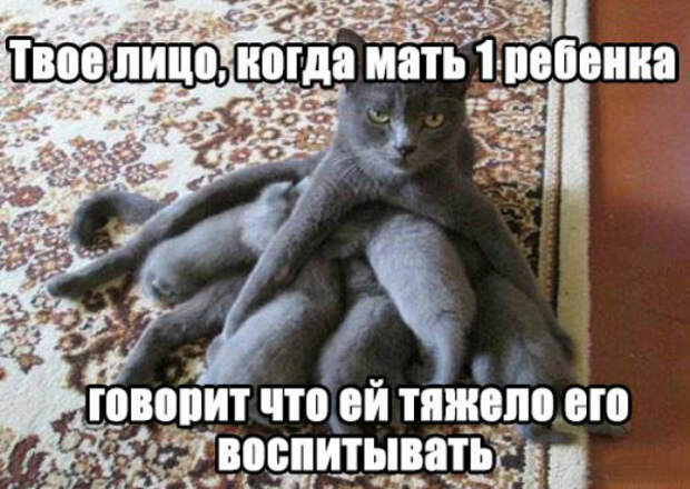 4082456_original (600x426, 254Kb)