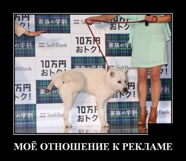 demotivatory-demotivator-smeshnye-demotivatory-demotivator-so-smyslom