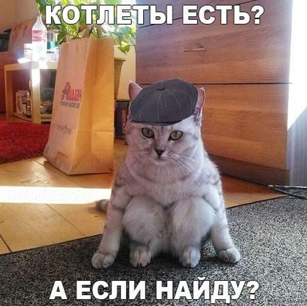 Картинки по запросу веселые картинки и фото приколы