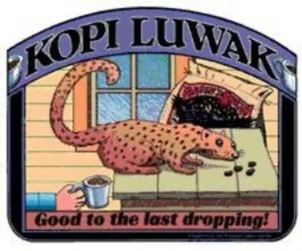 Копи название пода. The fun Luwak. O happens