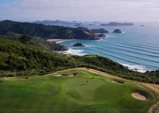 Поле для гольфа «Kauri Cliffs» в Новой Зеландии.