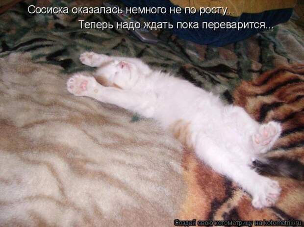 Мысли вслух :)
