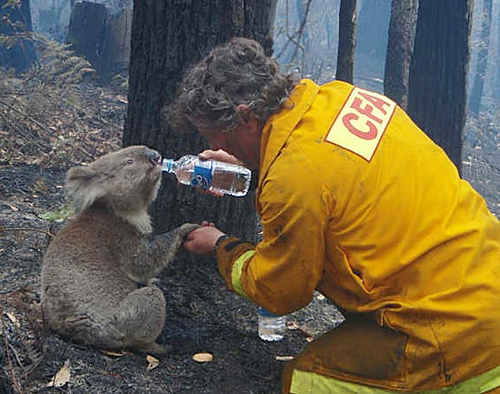 https://kindnessblogdotcom1.files.wordpress.com/2013/10/3284856394_727dfdf2d0.jpg