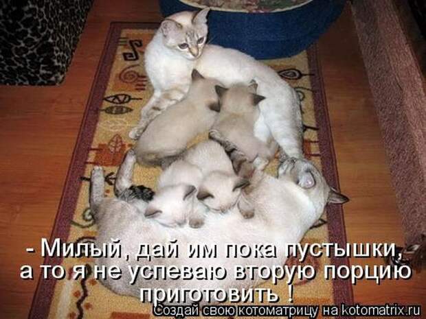 Мысли вслух :)