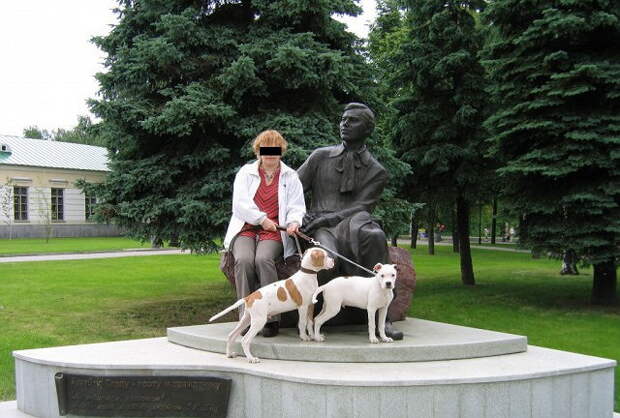 4 месяца, гуляем.  возвращение, животные, пес